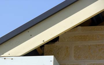 Dowsby fascia repairs